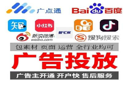 某电商平台的SEM广告投放策略及效果评估